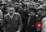 Image interview de prisonniers Dachau Allemagne, 1945, de la seconde 28 séquences d'archives historiques vidéo 65675055225