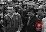 Image interview de prisonniers Dachau Allemagne, 1945, de la seconde 29 séquences d'archives historiques vidéo 65675055225
