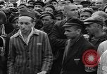 Image interview de prisonniers Dachau Allemagne, 1945, de la seconde 34 séquences d'archives historiques vidéo 65675055225