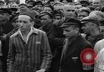 Image interview de prisonniers Dachau Allemagne, 1945, de la seconde 39 séquences d'archives historiques vidéo 65675055225