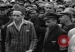 Image interview de prisonniers Dachau Allemagne, 1945, de la seconde 40 séquences d'archives historiques vidéo 65675055225