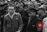 Image interview de prisonniers Dachau Allemagne, 1945, de la seconde 41 séquences d'archives historiques vidéo 65675055225