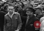 Image interview de prisonniers Dachau Allemagne, 1945, de la seconde 45 séquences d'archives historiques vidéo 65675055225