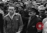 Image interview de prisonniers Dachau Allemagne, 1945, de la seconde 49 séquences d'archives historiques vidéo 65675055225