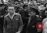 Image interview de prisonniers Dachau Allemagne, 1945, de la seconde 54 séquences d'archives historiques vidéo 65675055225