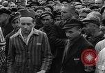 Image interview de prisonniers Dachau Allemagne, 1945, de la seconde 60 séquences d'archives historiques vidéo 65675055225