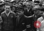 Image interview de prisonniers Dachau Allemagne, 1945, de la seconde 27 séquences d'archives historiques vidéo 65675055226