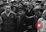 Image interview de prisonniers Dachau Allemagne, 1945, de la seconde 35 séquences d'archives historiques vidéo 65675055226