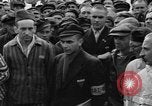 Image interview de prisonniers Dachau Allemagne, 1945, de la seconde 40 séquences d'archives historiques vidéo 65675055226