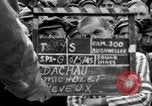 Image interview de prisonniers Dachau Allemagne, 1945, de la seconde 8 séquences d'archives historiques vidéo 65675055227