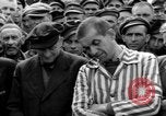 Image interview de prisonniers Dachau Allemagne, 1945, de la seconde 17 séquences d'archives historiques vidéo 65675055227