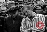 Image interview de prisonniers Dachau Allemagne, 1945, de la seconde 18 séquences d'archives historiques vidéo 65675055227