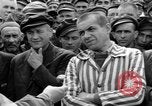 Image interview de prisonniers Dachau Allemagne, 1945, de la seconde 27 séquences d'archives historiques vidéo 65675055227