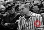 Image interview de prisonniers Dachau Allemagne, 1945, de la seconde 61 séquences d'archives historiques vidéo 65675055227