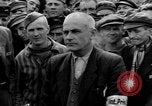 Image interview de prisonnier Dachau Allemagne, 1945, de la seconde 16 séquences d'archives historiques vidéo 65675055228