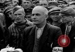 Image interview de prisonnier Dachau Allemagne, 1945, de la seconde 18 séquences d'archives historiques vidéo 65675055228