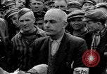 Image interview de prisonnier Dachau Allemagne, 1945, de la seconde 19 séquences d'archives historiques vidéo 65675055228