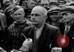 Image interview de prisonnier Dachau Allemagne, 1945, de la seconde 21 séquences d'archives historiques vidéo 65675055228