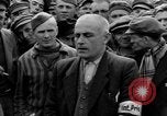 Image interview de prisonnier Dachau Allemagne, 1945, de la seconde 25 séquences d'archives historiques vidéo 65675055228