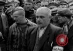 Image interview de prisonnier Dachau Allemagne, 1945, de la seconde 26 séquences d'archives historiques vidéo 65675055228