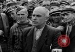 Image interview de prisonnier Dachau Allemagne, 1945, de la seconde 29 séquences d'archives historiques vidéo 65675055228