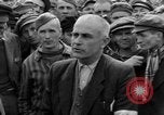 Image interview de prisonnier Dachau Allemagne, 1945, de la seconde 34 séquences d'archives historiques vidéo 65675055228