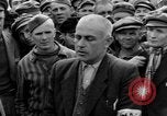 Image interview de prisonnier Dachau Allemagne, 1945, de la seconde 51 séquences d'archives historiques vidéo 65675055228