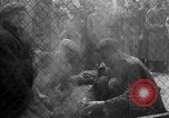 Image of Jewish prisoners Dachau Germany, 1945, second 3 stock footage video 65675055234