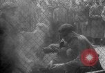 Image of Jewish prisoners Dachau Germany, 1945, second 4 stock footage video 65675055234