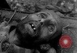 Image of Victims of atrocities Dachau Germany, 1945, second 13 stock footage video 65675055236