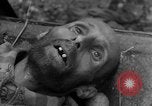 Image of Victims of atrocities Dachau Germany, 1945, second 16 stock footage video 65675055236