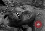 Image of Victims of atrocities Dachau Germany, 1945, second 17 stock footage video 65675055236