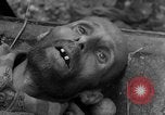 Image of Victims of atrocities Dachau Germany, 1945, second 18 stock footage video 65675055236