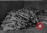 Image of Victims of atrocities Dachau Germany, 1945, second 42 stock footage video 65675055236