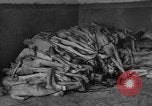 Image of Victims of atrocities Dachau Germany, 1945, second 47 stock footage video 65675055236