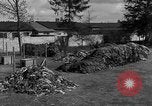 Image of Victims of atrocities Dachau Germany, 1945, second 61 stock footage video 65675055236