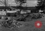 Image of Victims of atrocities Dachau Germany, 1945, second 62 stock footage video 65675055236