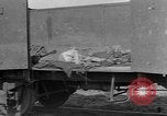 Image of dead bodies Dachau Germany, 1945, second 25 stock footage video 65675055238