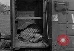 Image of dead bodies Dachau Germany, 1945, second 28 stock footage video 65675055238
