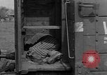 Image of dead bodies Dachau Germany, 1945, second 29 stock footage video 65675055238