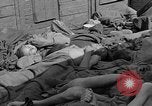 Image of dead bodies Dachau Germany, 1945, second 31 stock footage video 65675055238