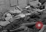 Image of dead bodies Dachau Germany, 1945, second 32 stock footage video 65675055238