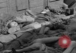 Image of dead bodies Dachau Germany, 1945, second 33 stock footage video 65675055238