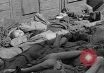 Image of dead bodies Dachau Germany, 1945, second 34 stock footage video 65675055238