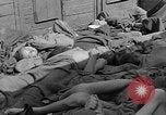 Image of dead bodies Dachau Germany, 1945, second 35 stock footage video 65675055238