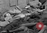 Image of dead bodies Dachau Germany, 1945, second 37 stock footage video 65675055238