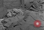 Image of dead bodies Dachau Germany, 1945, second 38 stock footage video 65675055238
