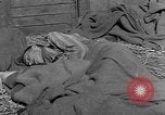 Image of dead bodies Dachau Germany, 1945, second 39 stock footage video 65675055238