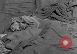 Image of dead bodies Dachau Germany, 1945, second 40 stock footage video 65675055238