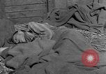 Image of dead bodies Dachau Germany, 1945, second 42 stock footage video 65675055238